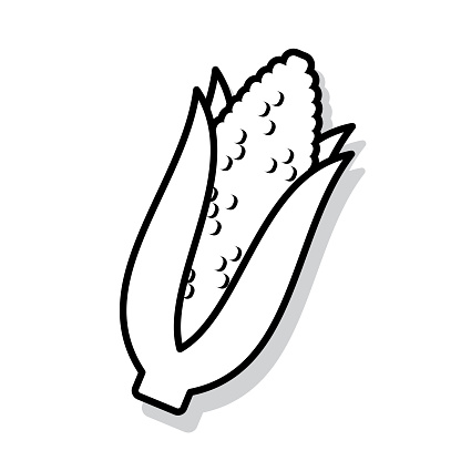 Vector illustration of a hand drawn black and white ear of corn against a white background.