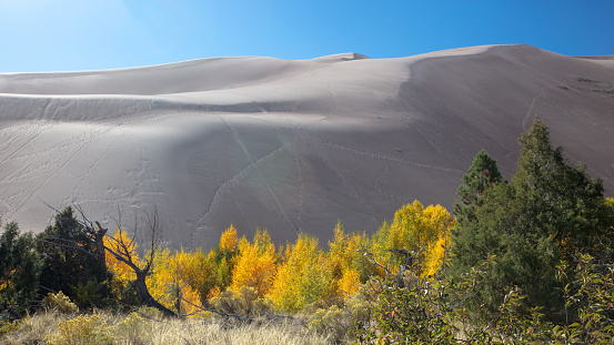 Great Sand Dunes National Park with fall colors near Alamosa Colorado United States