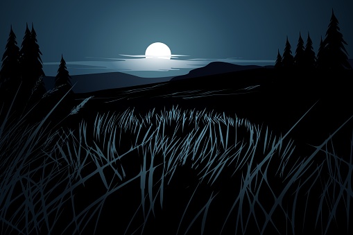 Night landscape with moonlight over the hills and grass