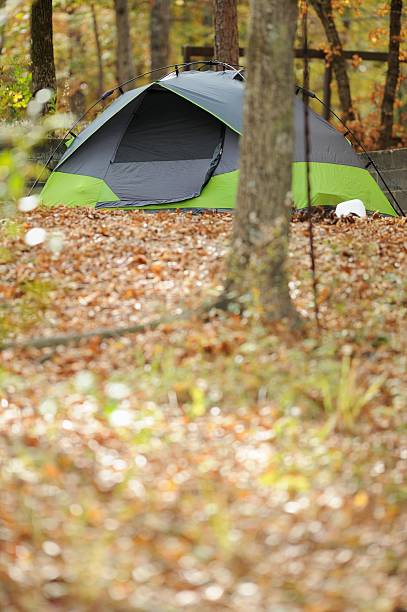 istock Tent in wooded campsite 188090578