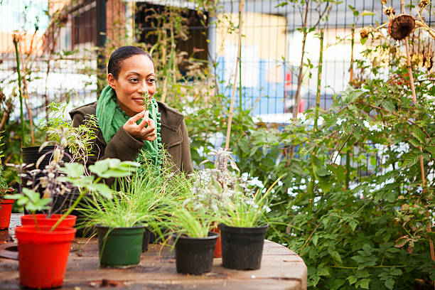 istock Woman Smelling Rosemary Herb 188090898