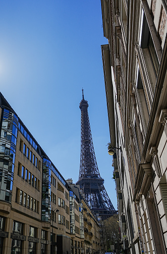 The Eiffel Tower in buildings