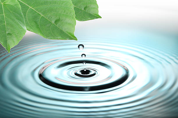 istock Green leaves and blue water drops. 188093144