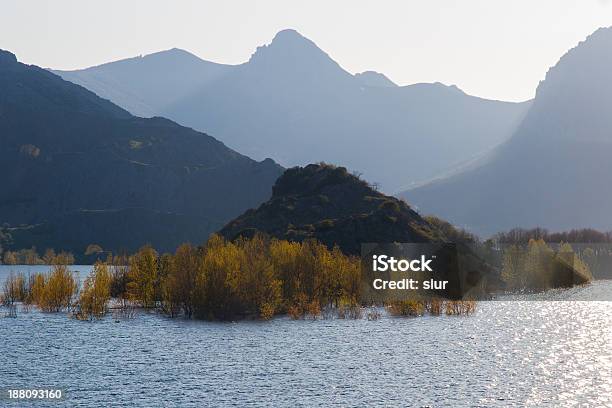 Болотный Пейзажpaisaje De Pantano — стоковые фотографии и другие картинки Без людей - Без людей, Берёза, Болото