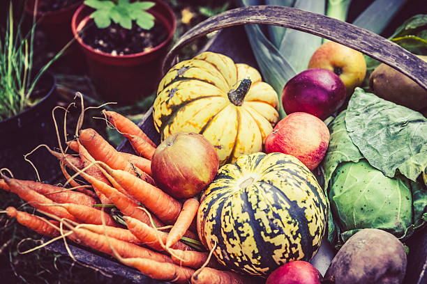 Basket of organic vegetables for an healthy autumn.
