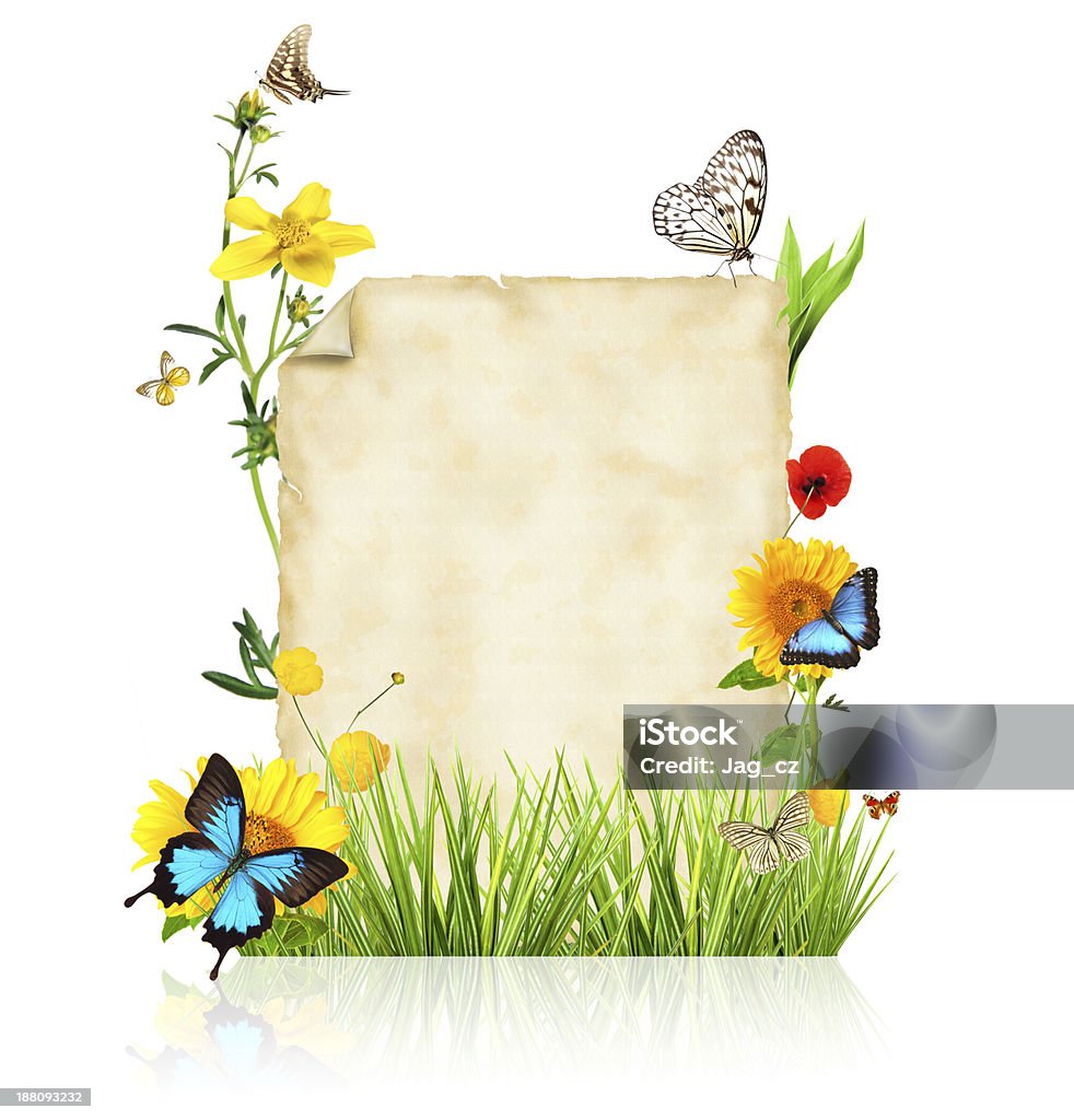 Spring concept Concept of spring with blank paper for text. isolated on white background Abstract Stock Photo
