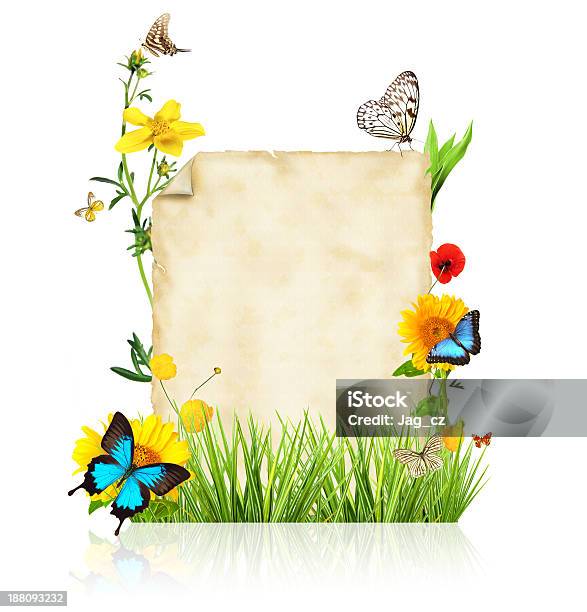 Spring Concept Stock Photo - Download Image Now - Abstract, Beauty In Nature, Blossom