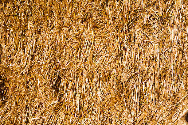 hay bale detail stock photo