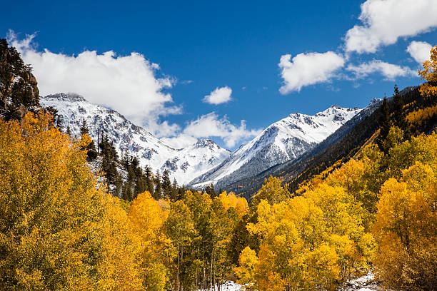 San Juan Mountain Autumn San Juan Mountains near Durango Colorad in Autumn aspen tree grove tree stand stock pictures, royalty-free photos & images