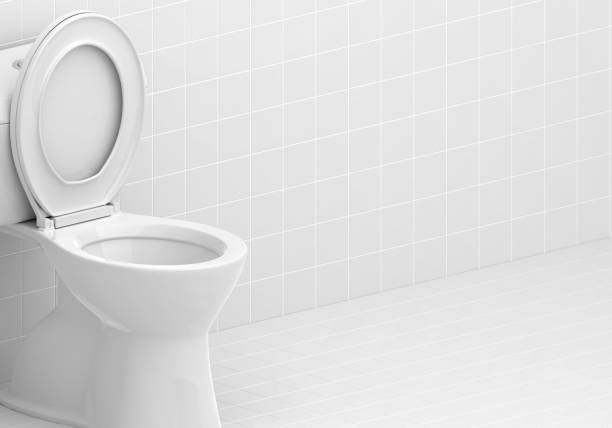 istock Toilet bowl in the bathroom 1881017983