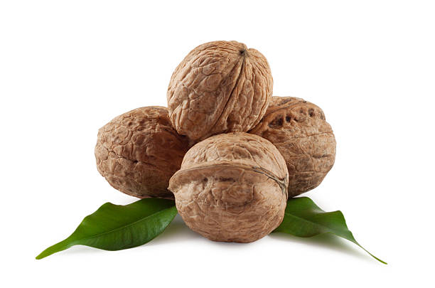istock Walnuts are a bunch of illuminated from behind 188102838