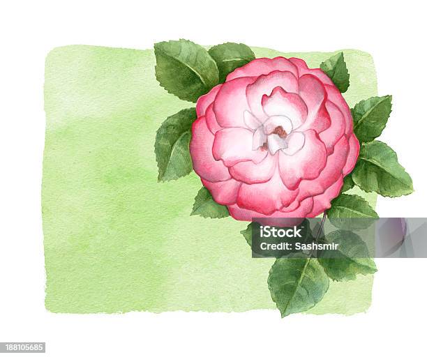 Aquarell Illustration Von Dog Rose Blume Stock Vektor Art und mehr Bilder von Alt - Alt, Altertümlich, Aquarell