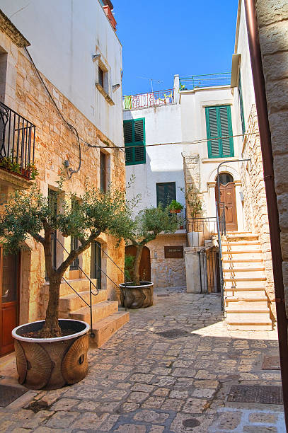 istock Alleyway. Conversano. Puglia. Italy. 188108173
