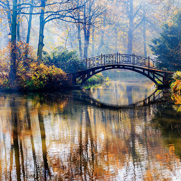 istock Autumn in misty park 188108311