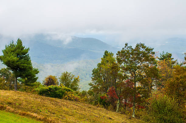 горный пейзажи в вирджинии вокруг роанок - blue ridge mountains appalachian mountains appalachian trail skyline drive стоковые фото и изображения