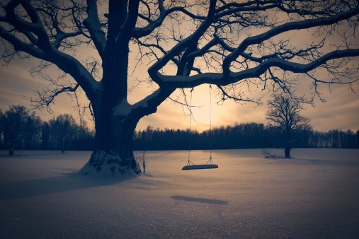Winter Landscape with Abandoned Tree Swing. Solitude Concept. Toned Photo.