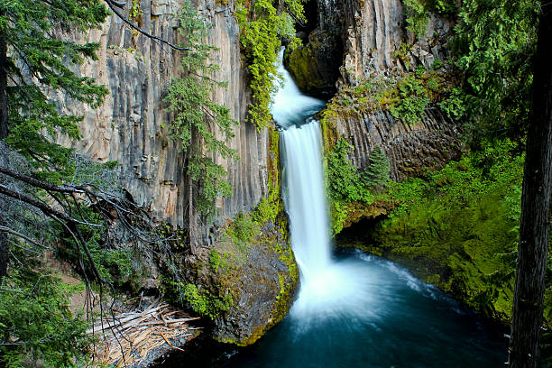 istock Toketee Falls in Oregon 188109149