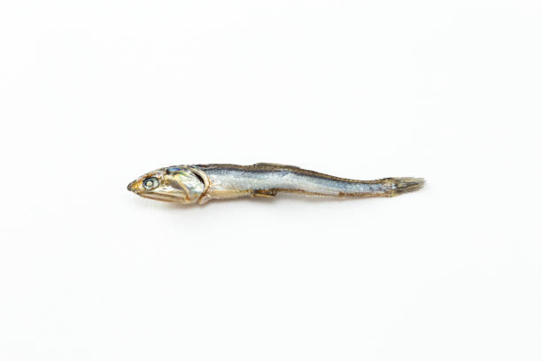 istock Dried sardines on a white background. 1881095354