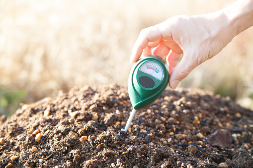 Measure the soil acidity with a soil pH meter