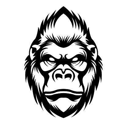 Gorilla head black and white vector illustration