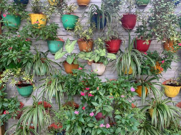 istock Wall of garden view 1881108681