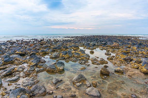 black kamienia - asia color image horizontal terengganu zdjęcia i obrazy z banku zdjęć