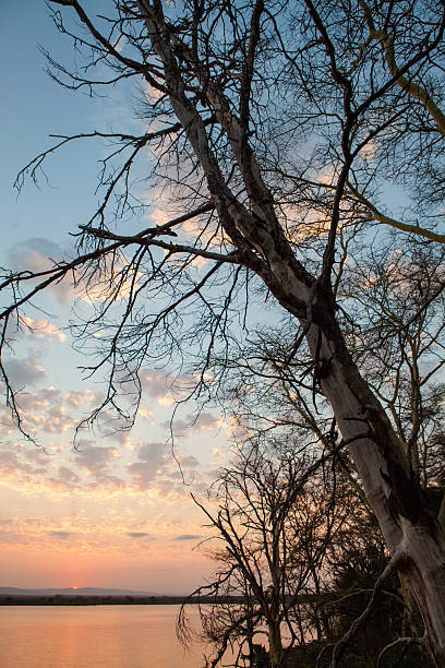 istock Sunset at a lakes edge 188113060