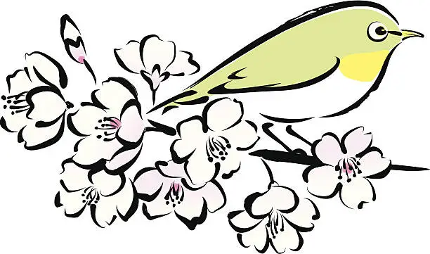 Vector illustration of Sakura cherry blossoms and a white-eye