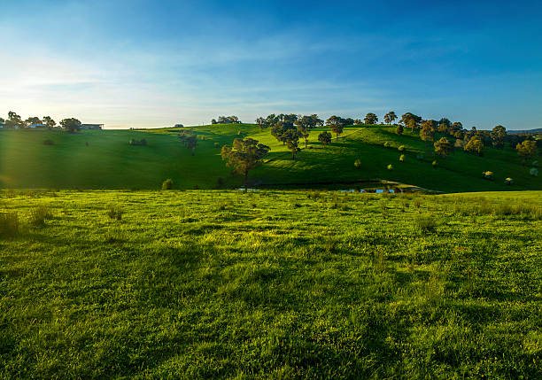 istock Farmland Landscape 188115313