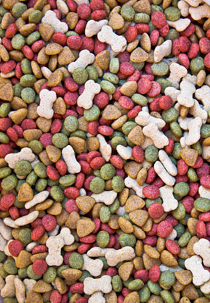 istock dog food background 188118142