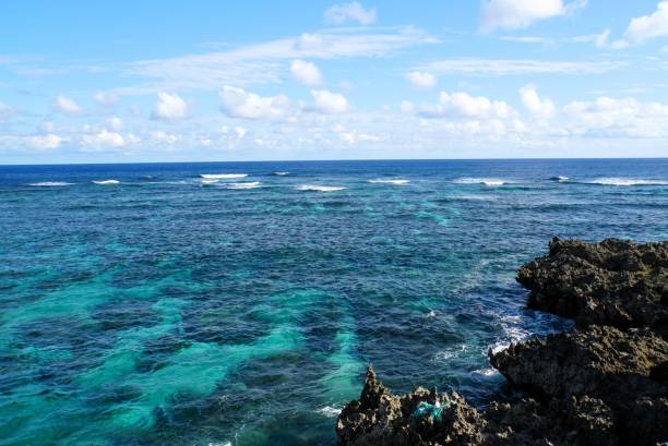 istock Imugya Marine Garden 1881218742