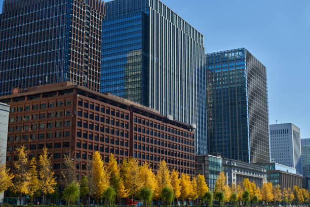 Gingko trees and skyscrapers seen from the plaza