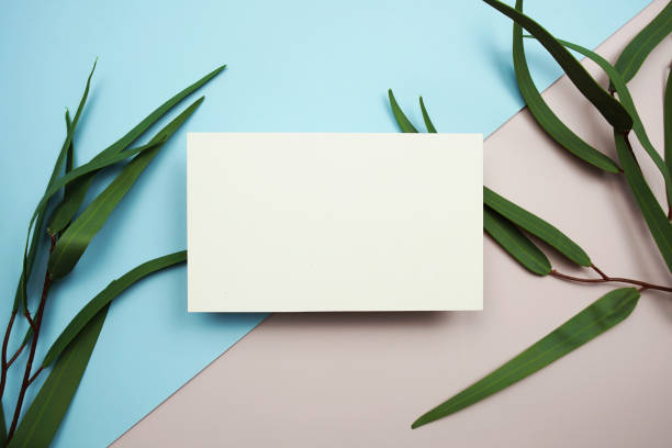 istock Empty invitation card mockup with green eucalyptus leaves on pink and blue background 1881327756