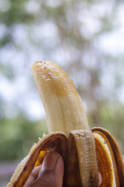 istock Rotten banana with hand holding on blurred bokeh nature 1881367528