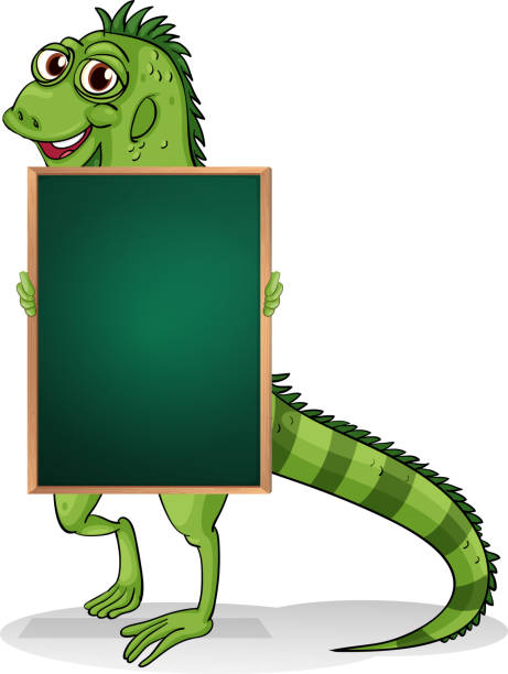 ilustrações de stock, clip art, desenhos animados e ícones de greenboard com uma iguana na parte de trás - siding white backgrounds pattern