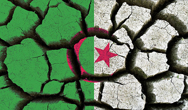 Algeria flag. stock photo