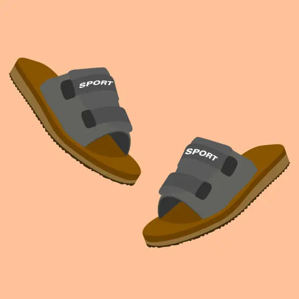 Vector illustration of sport slippers