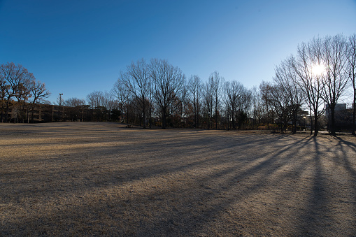 A winter park reflecting beautiful morning shadows