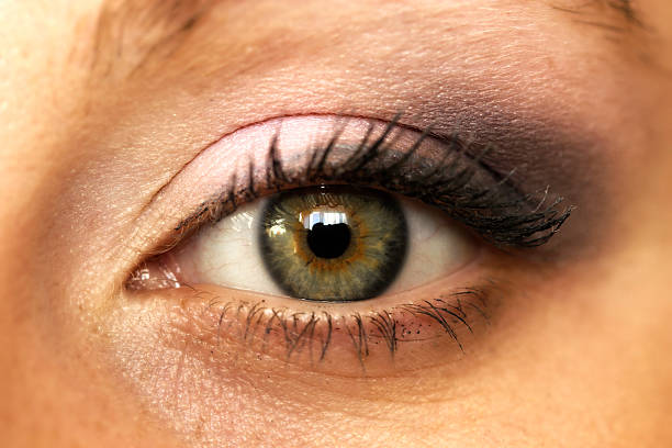 istock Close up beautiful woman eye make-up 188140629