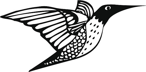 Hummingbird in Flight vector art illustration