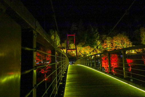 Illuminated bridge and autumn leaves at Oidaira Park.