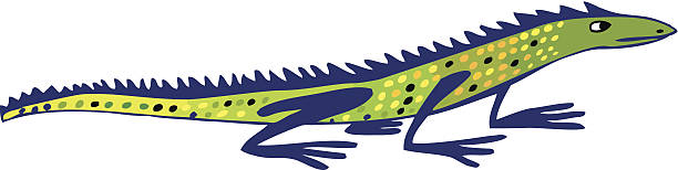 Spotty Lizard vector art illustration