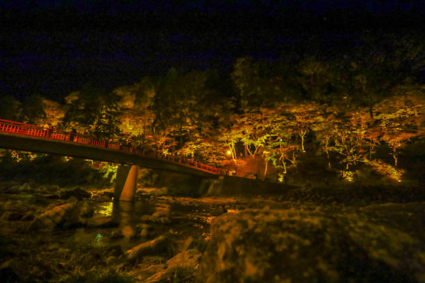 istock Korankei in autumn illuminated. 1881424889