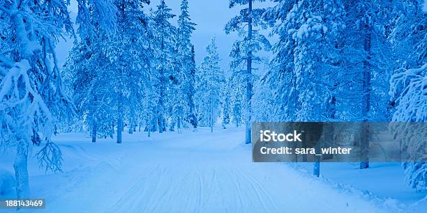 Foto de Snowmobile Caminho Através Da Floresta De Frozen Lapônia Finlandesa Ao Anoitecer e mais fotos de stock de Alto contraste