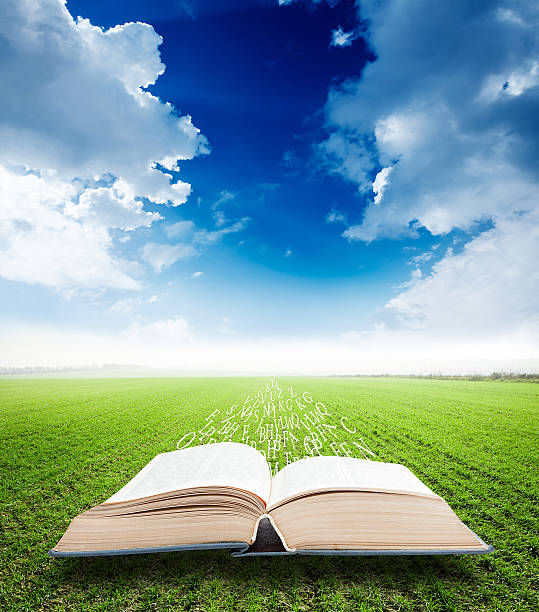 istock open book in a field with letters 188143699