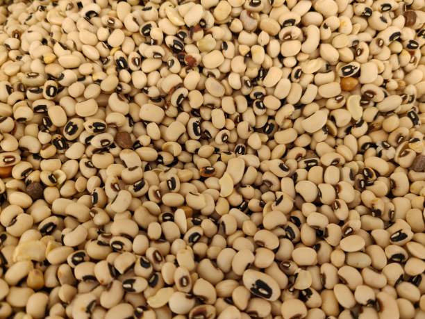 istock Raw Food in Market 1881440640
