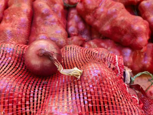 Rows of onions and potatoes piled high in mesh bags at a market stall