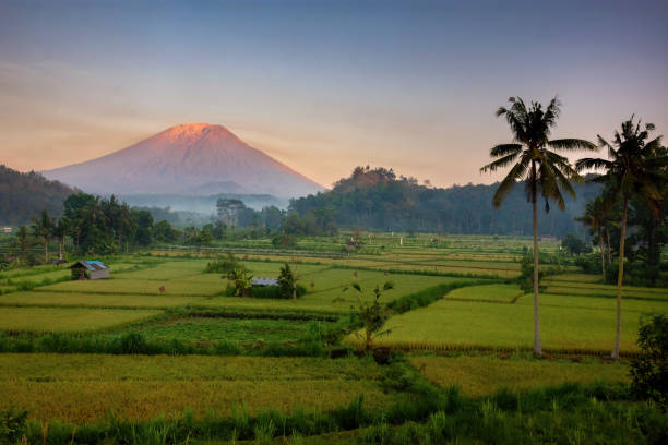 istock beautiful morning in bali 1881459270