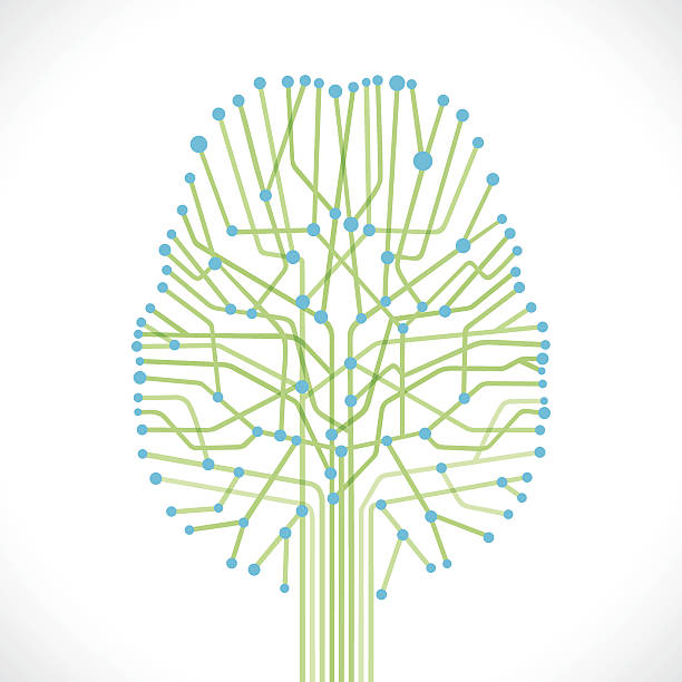 추상적임 뇌 - brain x ray image nerve cell intelligence stock illustrations