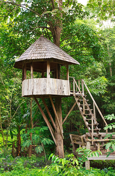 istock Cute wooden tree house 188149225